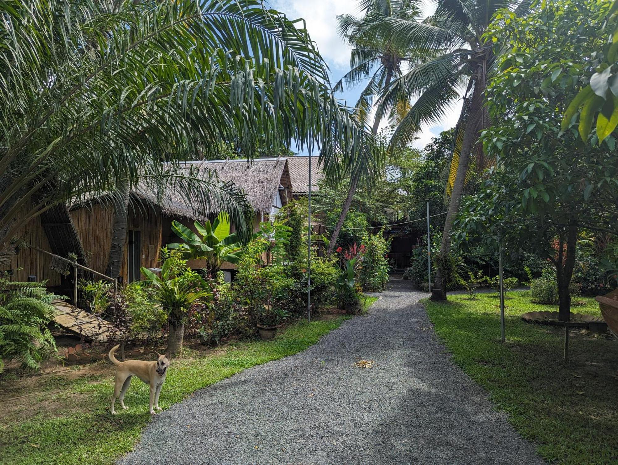 Nary Garden Hotel Kampot Exterior photo